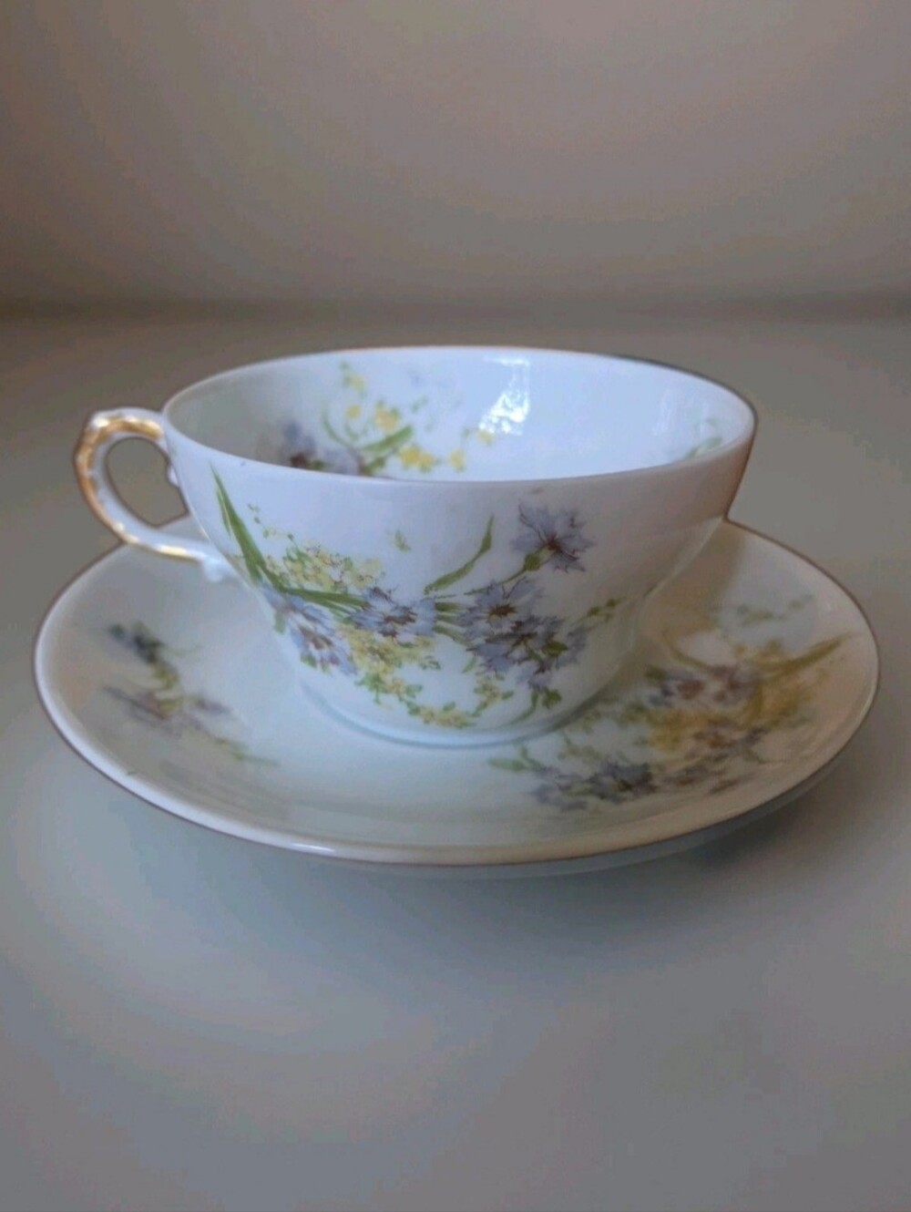 Antique Theodore Haviland Limoges Cup Saucer Blue Cornflower Schleiger 603b